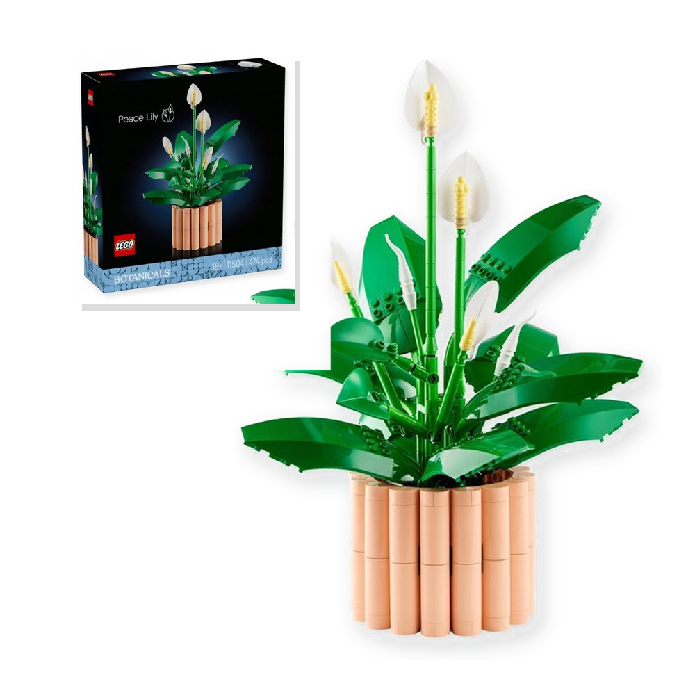 LEGO Botanicals 11504 Skrzydłokwiat