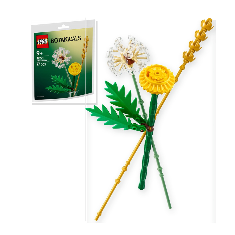 LEGO Botanicals Kwiaty polne 30701