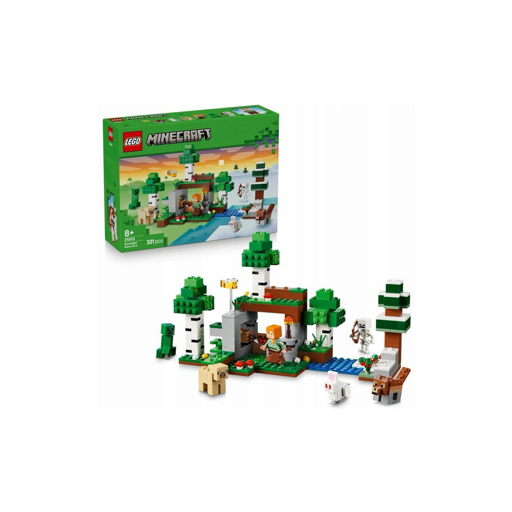 LEGO Minecraft 21593 Pierwsza nocna przygoda